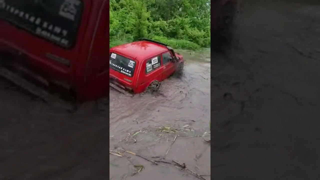 Ооо нива адыгея