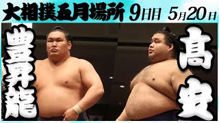 大相撲　豊昇龍ー髙安　＜令和６年五月場所・９日目＞SUMO