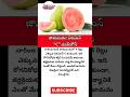 #guava #vitaminc #superfruit #healthylifestyle #immunityboost #healthtips #nutrition #healthyfood