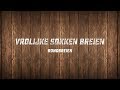 Vrolijke Sokken Breien - Rondbreien