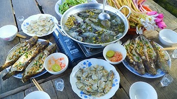 "Cá Sặc Đồng Hấp Cơm Mẻ" Lai Rai trên Đồng Nước Nổi Miền Tây 2025 | Nét Quê #645