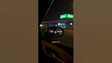 رمش خطاف والسحر اصناف عمرو دياب 