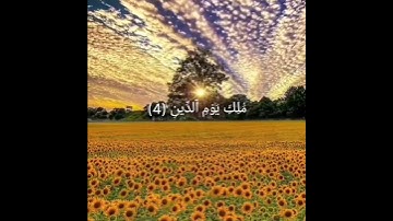 سورة الفاتحة ❤️
