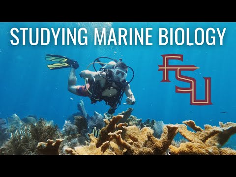 Video: Universitatea Liberty are biologie marine?