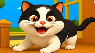 Download Lagu म्याऊं म्याऊं बिल्ली करती | Meow Meow Billi Karti Upar Pankha Chalta Hai | ऊपर पंखा चलता है Rhyme MP3 Download Lagu म्याऊं म्याऊं बिल्ली करती | Meow Meow Billi Karti Upar Pankha Chalta Hai | ऊपर पंखा चलता है Rhyme MP3