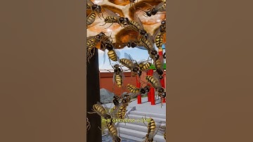 How Bees Construct A Perfect Hexagonal Comb 🐝