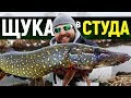 ПОМОЩ!!! Риболов на ЩУКА в студено време / How to catch winter PIKE