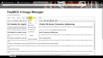 TinyMCE 4 Image Manager