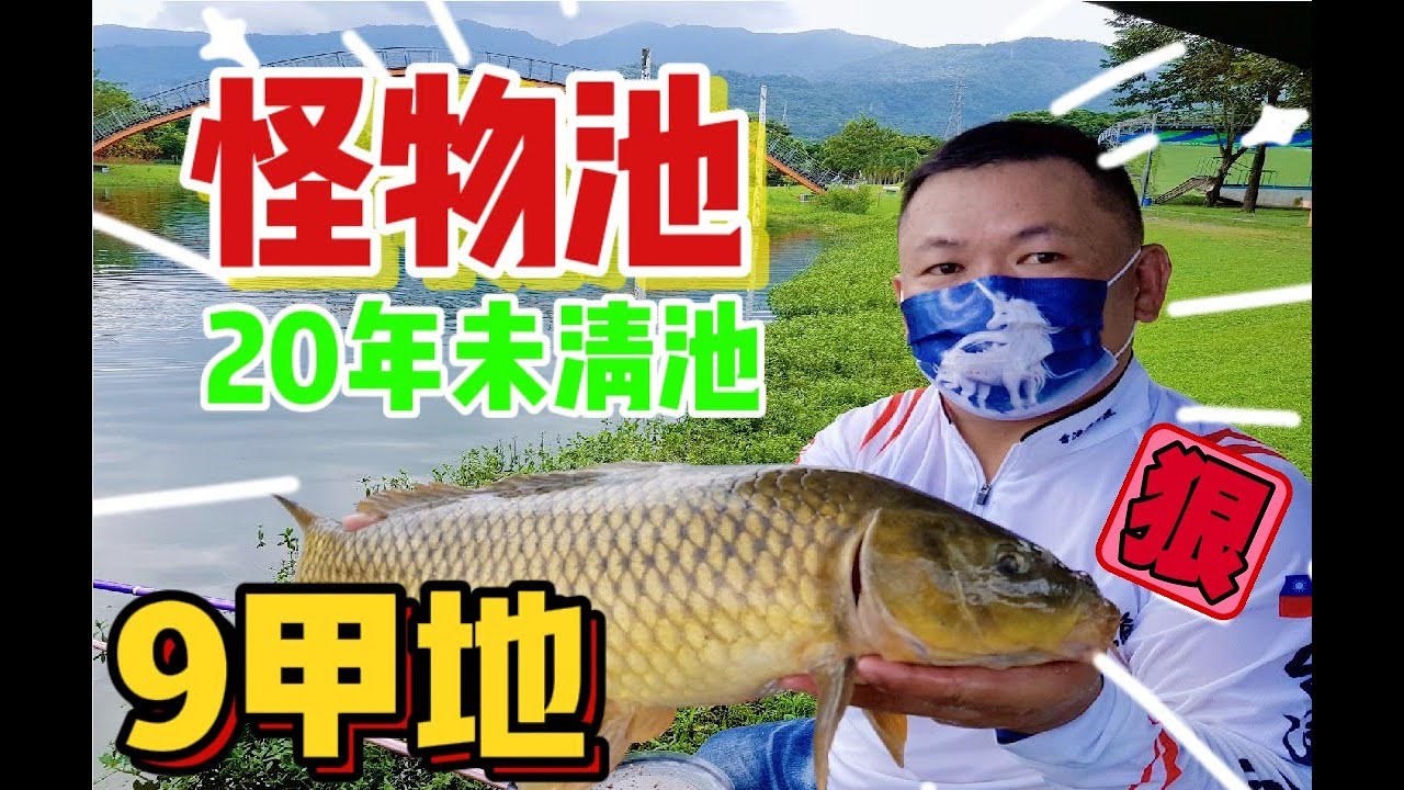 有點誇張!魚為什麼可以那麼粗又大又多!水面整群都是大魚