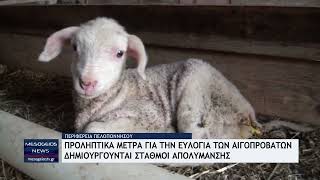 Προληπτικά μέτρα για την ευλογιά των αιγοπροβάτων στη Μεσσηνία - Δημιουργούνται σταθμοί απολύμανσης