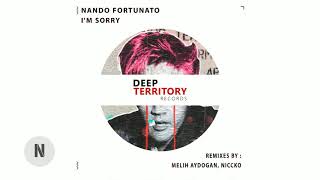 Nando Fortunato - I'm Sorry (NICCKO Remix)
