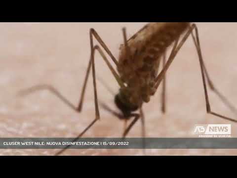 CLUSER WEST NILE: NUOVA DISINFESTAZIONE | 15/09/2022