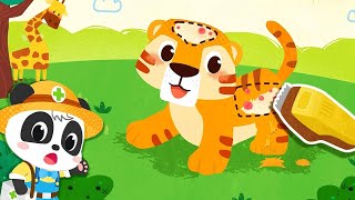 Little Panda Rescue Animals | Drive the Truck | Clean up & Learn about Animals | BabyBus Games Video screenshot 5