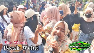 ANDI PUTRA 1 Pecak Welut Voc Winda Live Cilamayah Hilir Tgl 8 Juli 2023