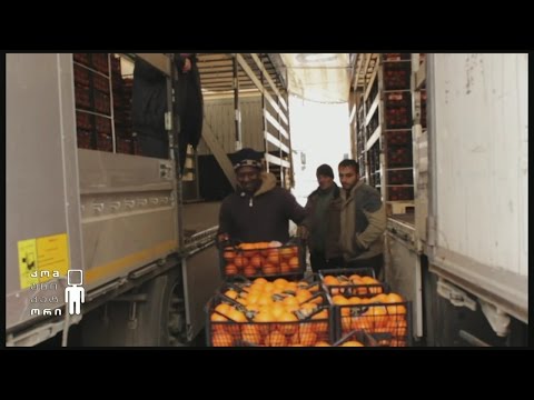 მიგრანტების თვალით დანახული საქართველო