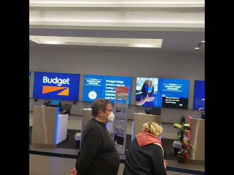 How Much Does Avis Pay Hourly