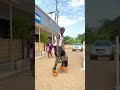 Lilmax king killed it so fresh ( official video)