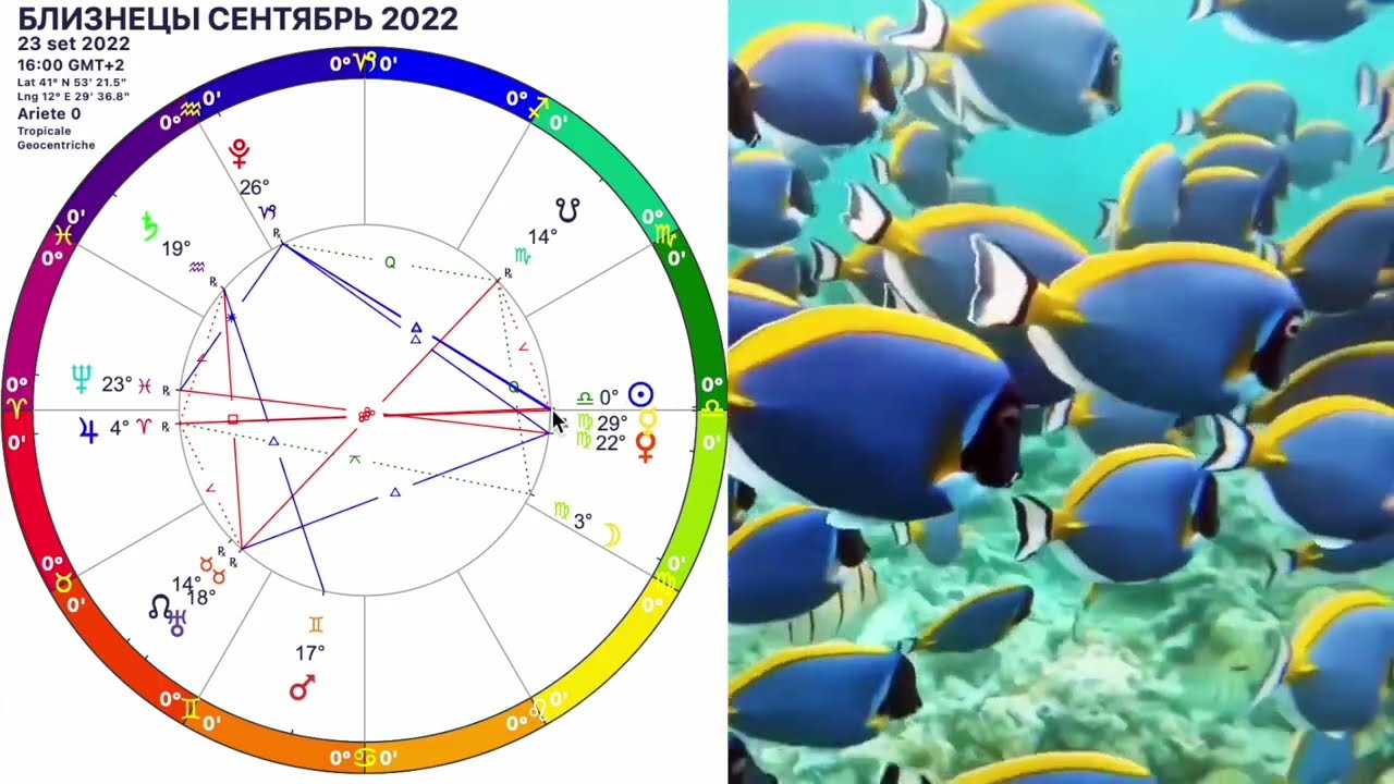 Что ждет близнецов в апреле 2024. Гороскоп на сентябрь 2022. Гороскоп сентябрь 2024. Знак зодиака сентябрь 10 сентября. Гороскоп для близнецов на 2024.