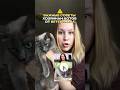 А вы добавляете омегу в рацион? кстати, для кошек и собак🐈🐕Артикул на вб: #WW294370 (копируй с WW)
