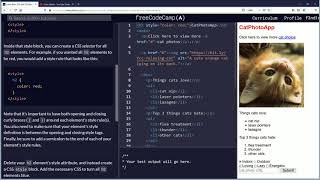 Use CSS Selectors to Style Elements | Basic CSS via FreeCodeCamp.Org