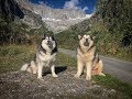 TRAVELLING EUROPE WITH MALAMUTES- FRANCE VLOG, CLIMBING MOUNTAINS, CABLE CARS, GLACIERS