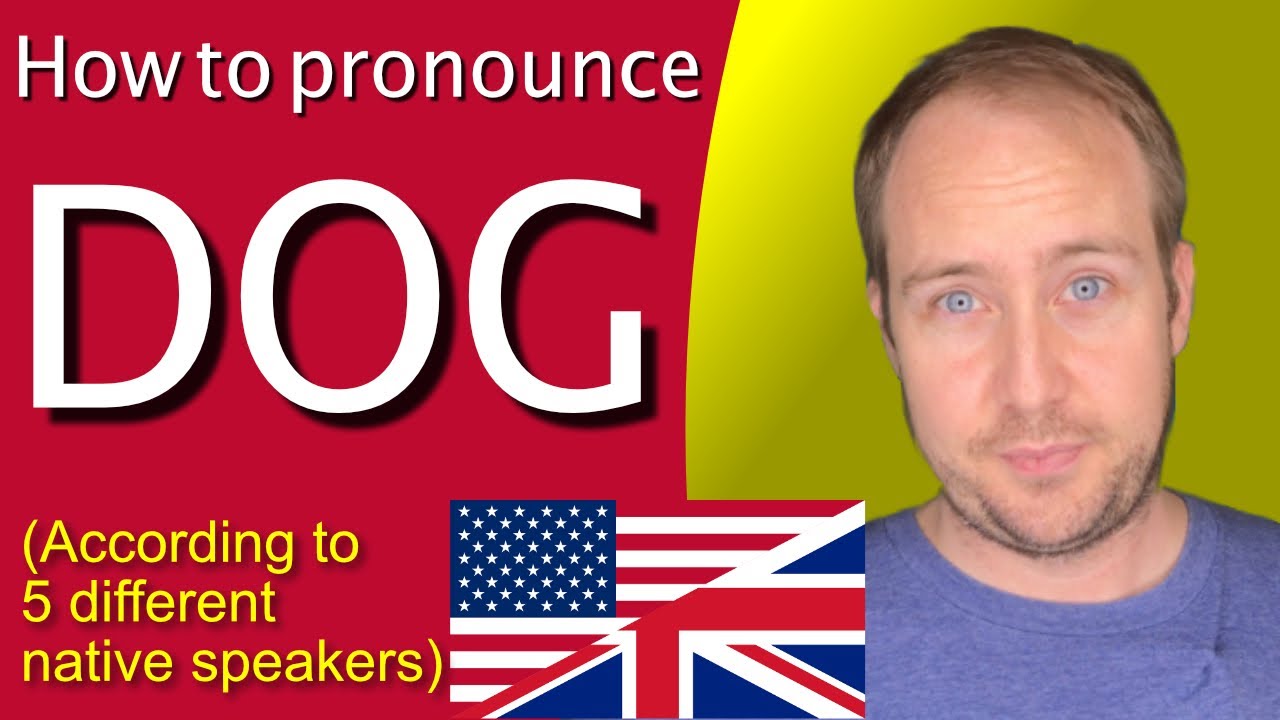 Pronounce the 50 Most Common Words in English Dog YouTube