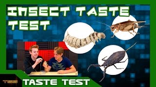 Insect Taste Testing