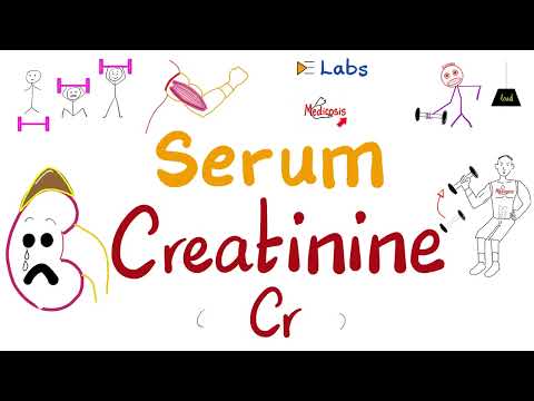 Serum Creatinine - Renal Failure - Kidney Function Tests