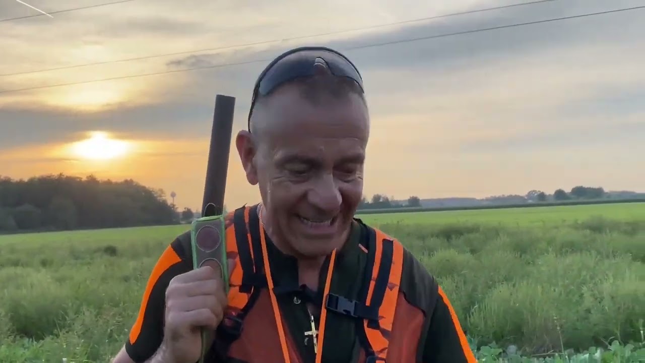 TR-Dog:Prova su Quaglie Andrea Aromatico e Matteo Perina #all4hunters by SapioShop