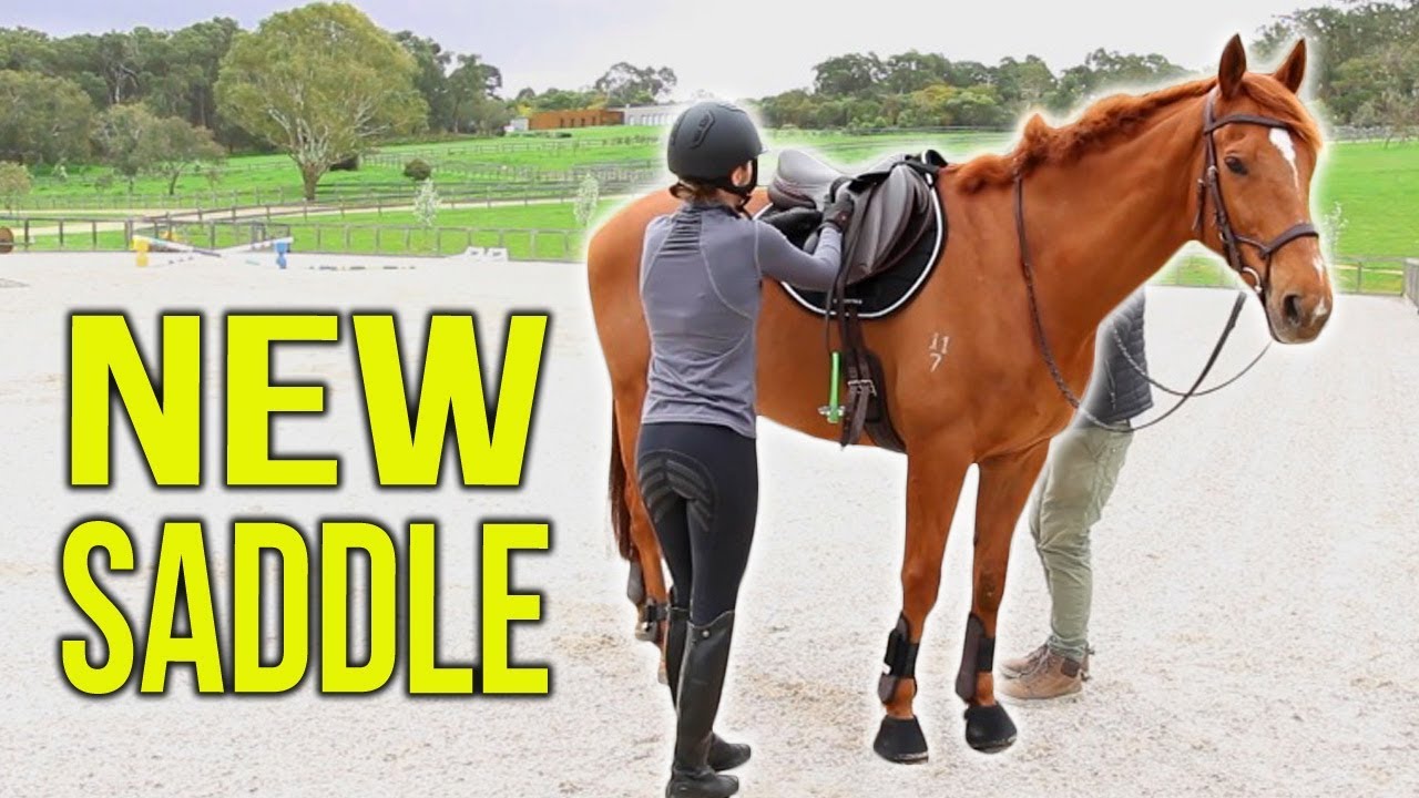 TACK HAUL New jumping saddle! YouTube