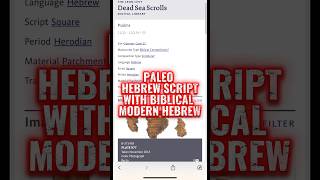 Download Lagu PALEO HEBREW AND MODERN HEBREW FOUND TOGETHER IN DEADSEA SCROLL. STOP SAYING YIDDISH!  FAKE NEWS! MP3