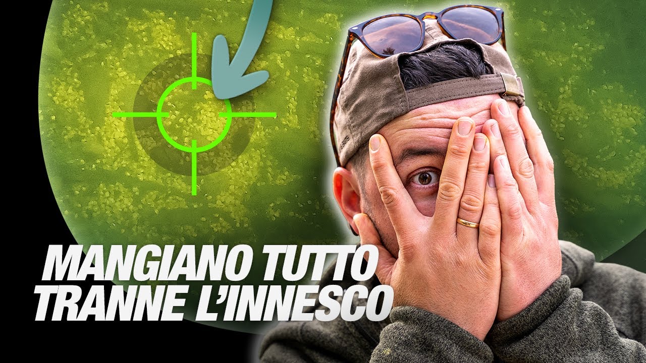 LE CARPE PIÙ SOSPETTOSE D'ITALIA 😱🇮🇹 Ci ho messo 6 mesi per catturare una carpa! 🤯