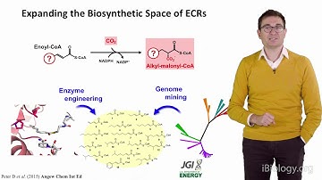 Synthetic Biology Realizing synthetic carbon dioxide fixation   Tobias Erb