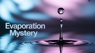 The Evaporation Paradox: Why Droplets Refuse to Vanish?