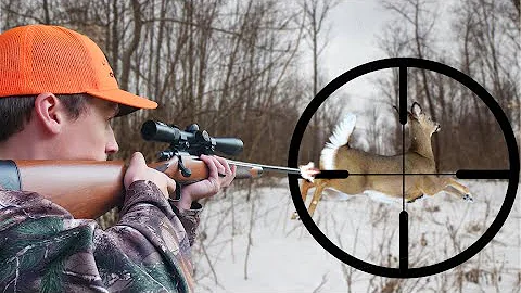 TOP RIFLE HUNTING KILLSHOTS COMPILATION! (DEER DRIVES)