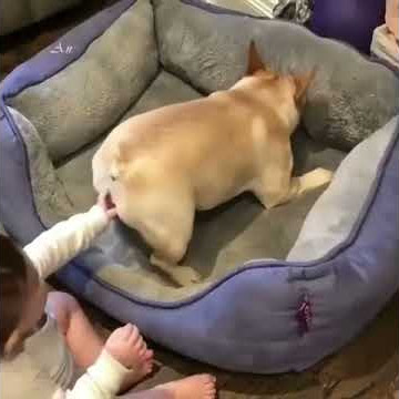 شرمها 😂😂😂