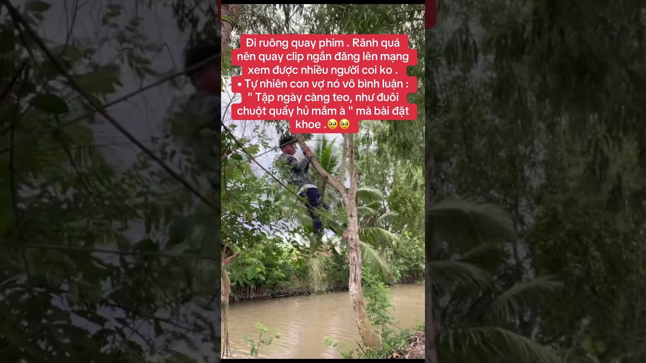 xổ số cần thơ minh ngọc Chuột quẩy hủ mắm thì kệ người ta đi vui funny haihuoc