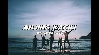 DJ VIRAL!!! - ANJING KACILI ( ADIT TAROREH REMIX ) - 2025