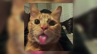 Alien Blues  Vundabar sped Up