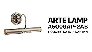 Arte Lamp Picture Lights 5 A5009AP-2AB подсветка для картин