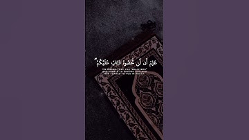 { إِنَّ رَبَّكَ يَعْلَمُ }💌❤️ سورة المزمل [20] 🌹 القارئ عبد الرحمن مسعد 🌹#islamicvideo