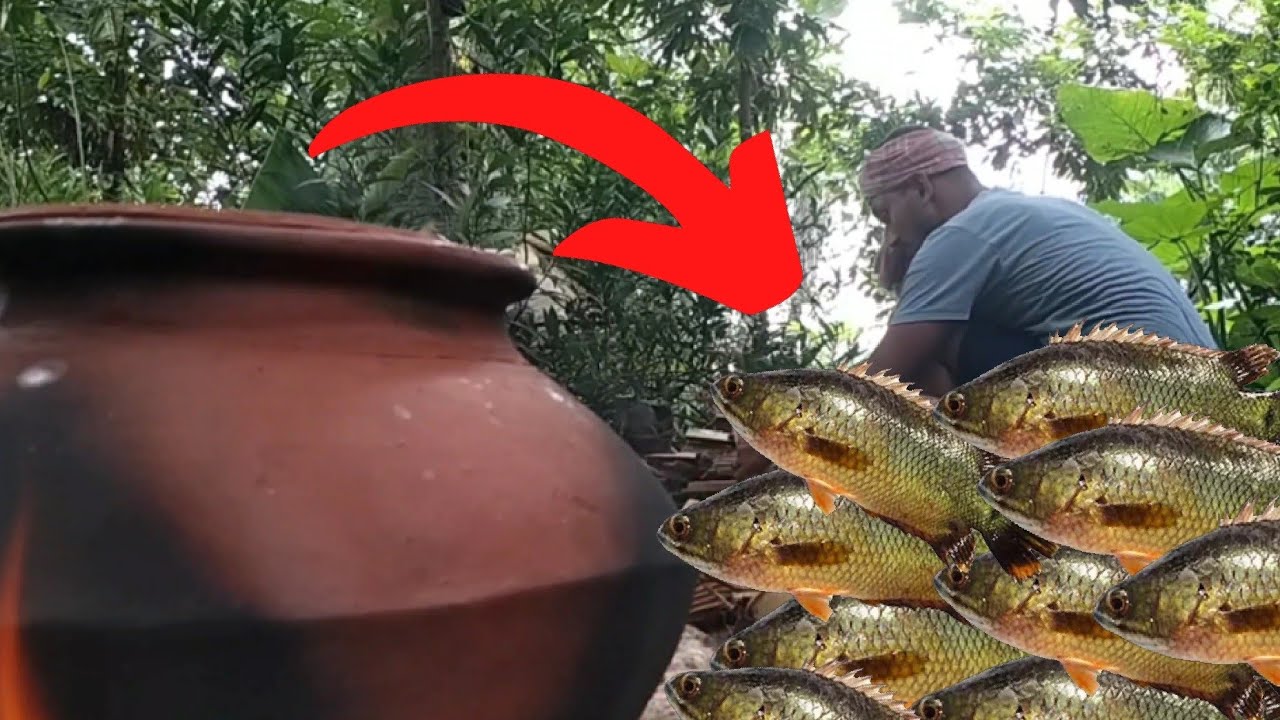 anabas fish cooking | handi koi cook in forest | forest cook |  sketching and cooking koi fish