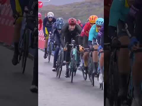 🇫🇷UN MUR ! Clément Champoussin battu d'un fil sur l'Arctic Race of Norway #shorts #cycling