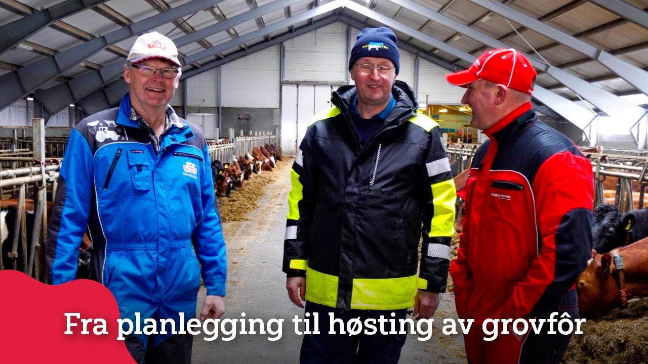 Harald Volden om grovfôrproduksjon, fra planlegging til høsting