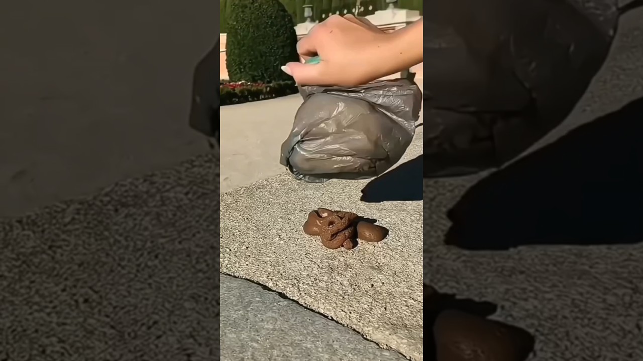 Dog Pooper Scooper,.. Link in Bio 👇👇🔗🔗