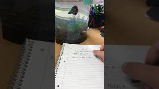 Jay Scacca Calculus 1 Assessment 1 Problem 2B
