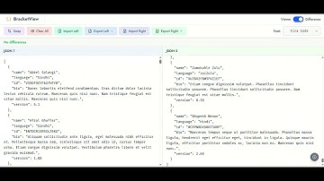 Best JSON Viewer for Developers? BracketView Tutorial (Compare, Format & Export JSON/CSV)