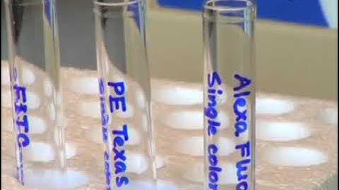 Isolating particular cell populations is achieved through fluorescence-activated cell sorting (FACS)
