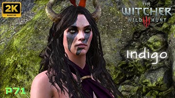 THE WITCHER 3: Wild Hunt - Practicum in Advanced Alchemy. Part 71. Side Quest [2K 60FPS PC]