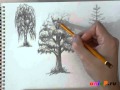 Как нарисовать листву деревьев